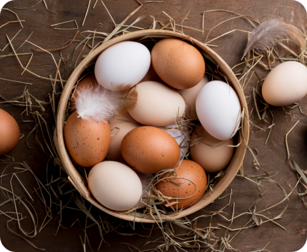 Organic Koel Eggs